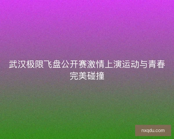 武汉极限飞盘公开赛激情上演运动与青春完美碰撞 武汉极限飞盘公开赛激情上演运动与青春完美碰撞